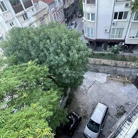 Center 1 * 瓦爾納